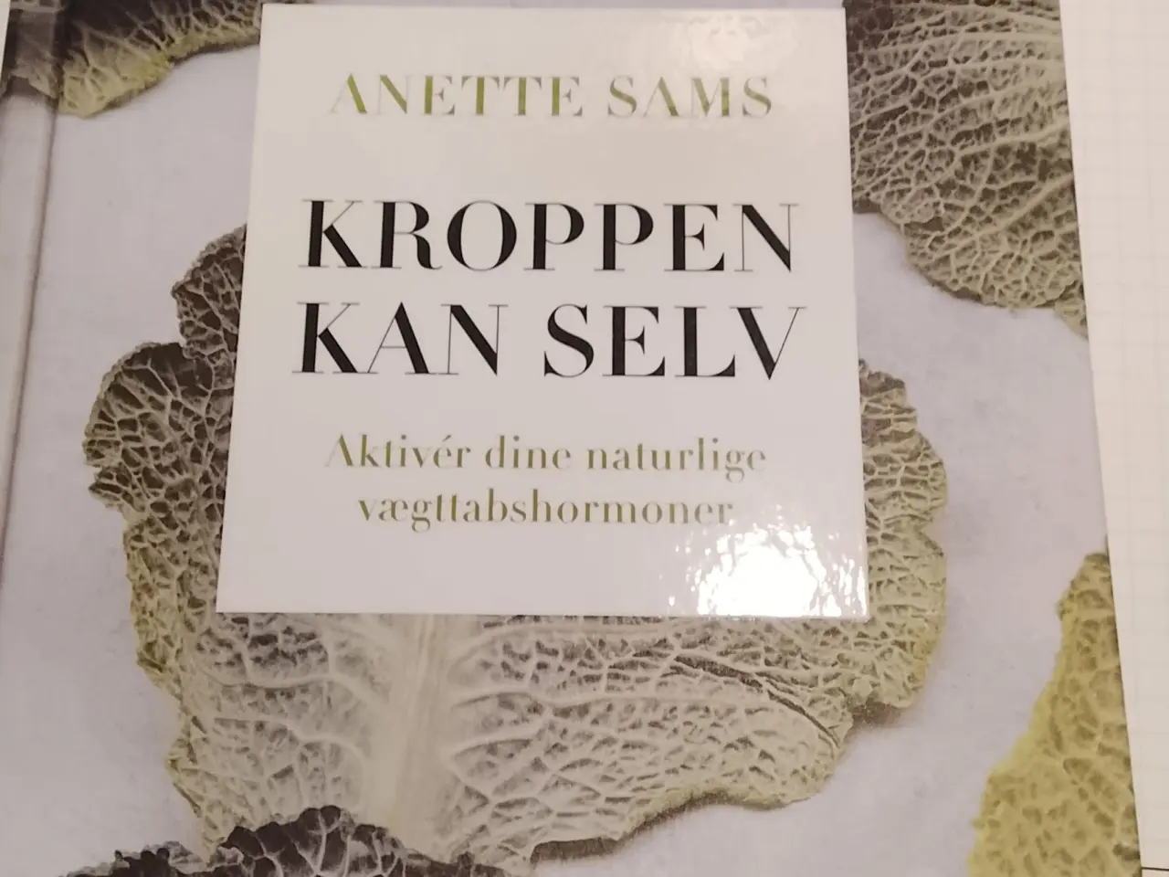 Billede 1 - Kroppen kan selv