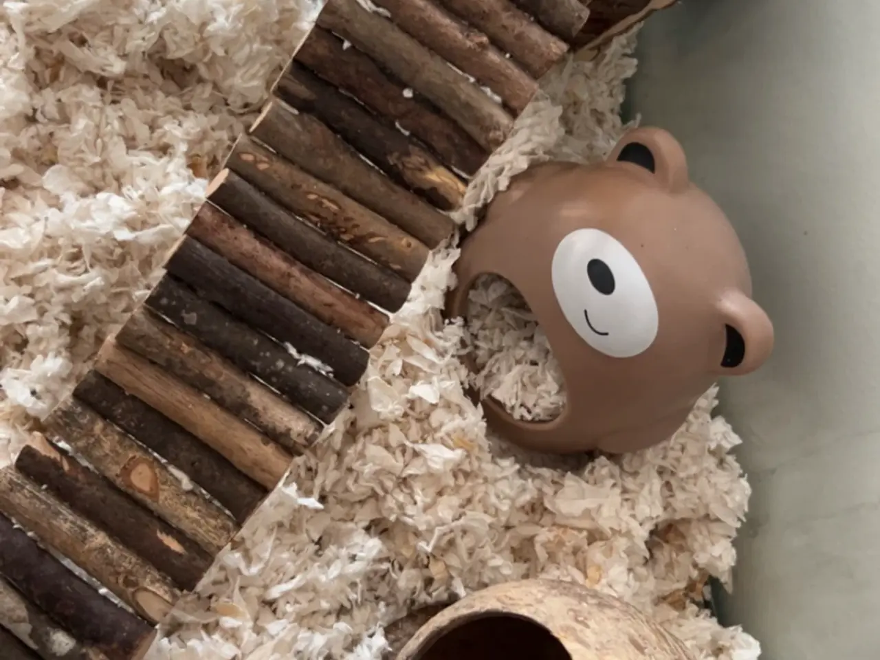 Billede 6 - Hamsterbur akvarie med tilbehør 