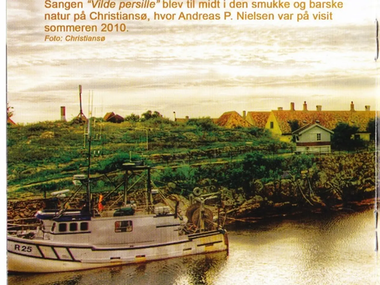 Billede 7 - Dræsinebanden – Åh Disse Minder – CD