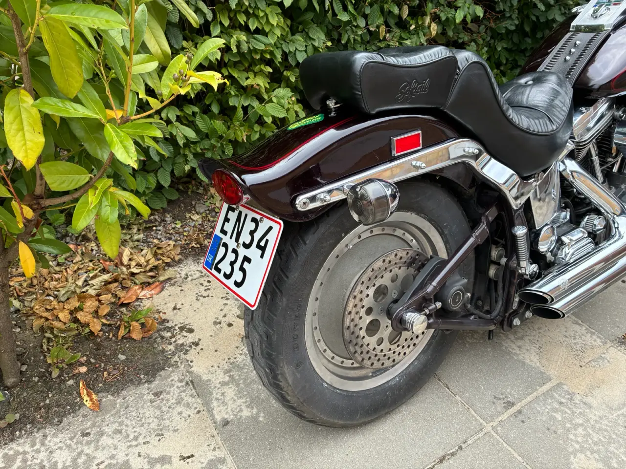 Billede 6 - Harley