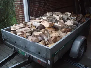 Brænde til vinter i jegum 6840
