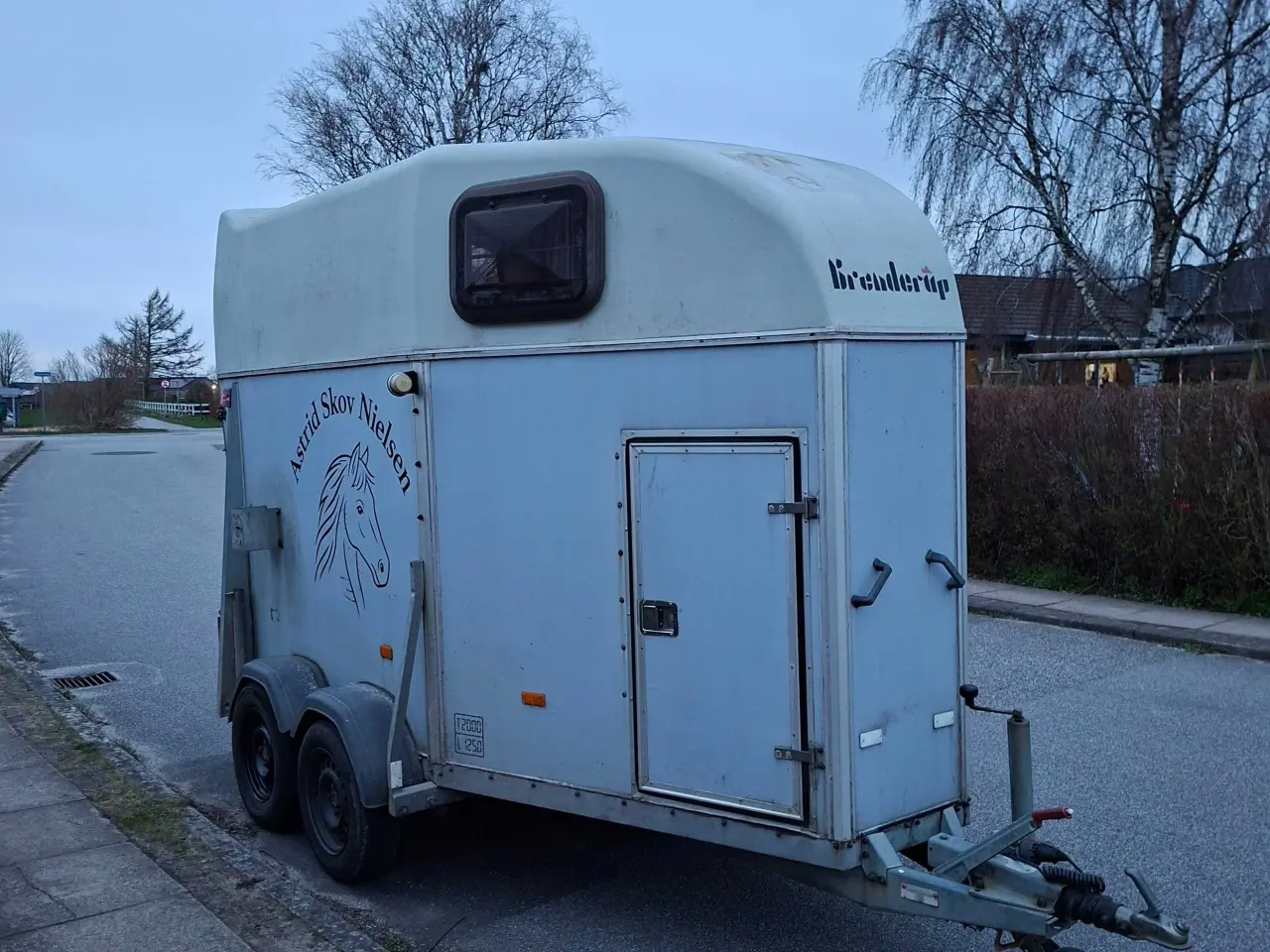 Billede 5 - Hestetrailer udlejes