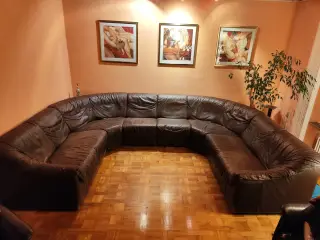 U-lædersofa "Shar Pei" - design.