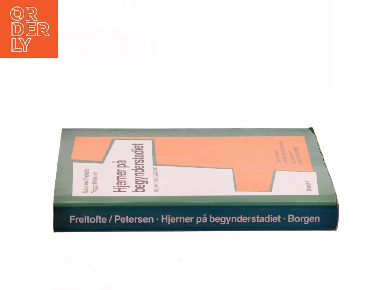 Billede 2 - Hjerner på begynderstadiet : neuropædagogik (Bog)