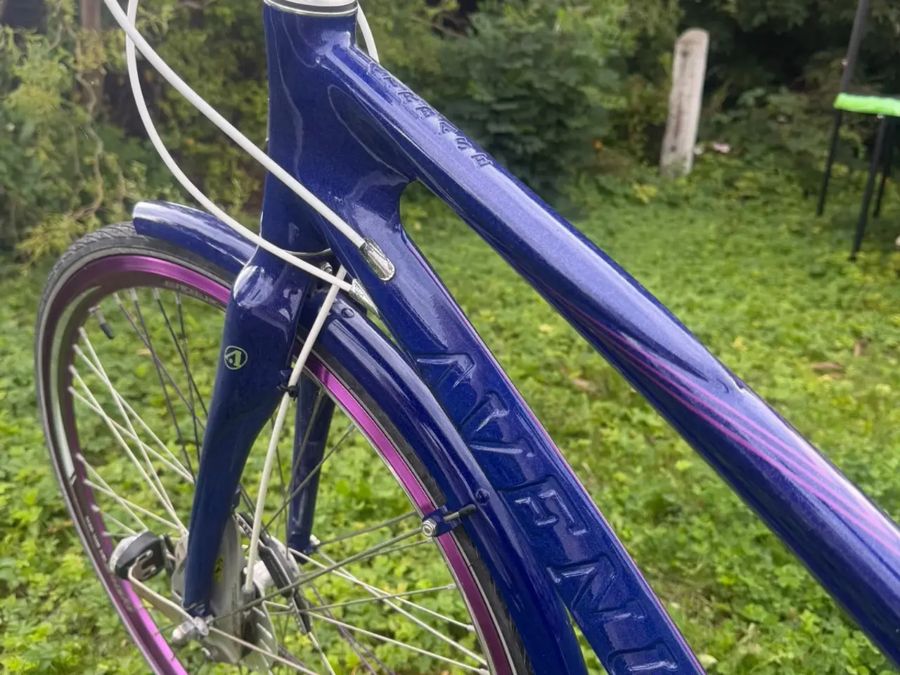 Billede 10 - Velholdt Avenue Damecykel-7 gear