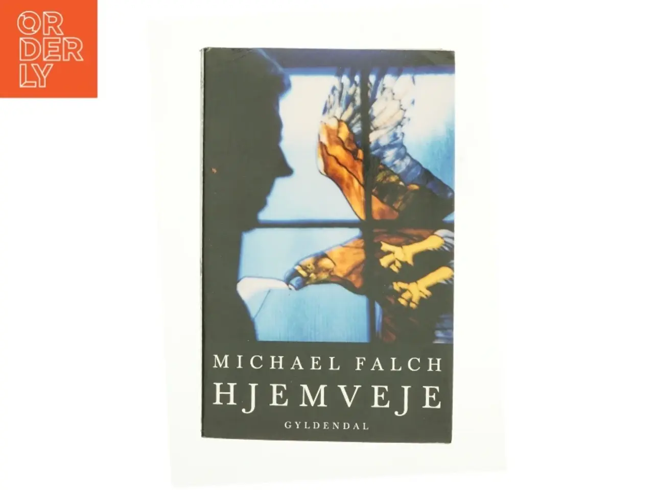 Billede 1 - Hjemveje af Michael Falch (Bog)
