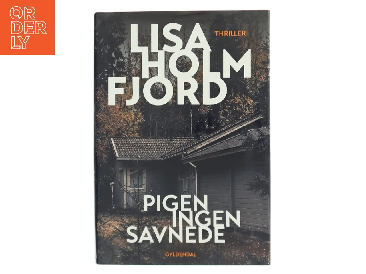 Billede 1 - Pigen ingen savnede : thriller af Lisa Holmfjord (Bog)