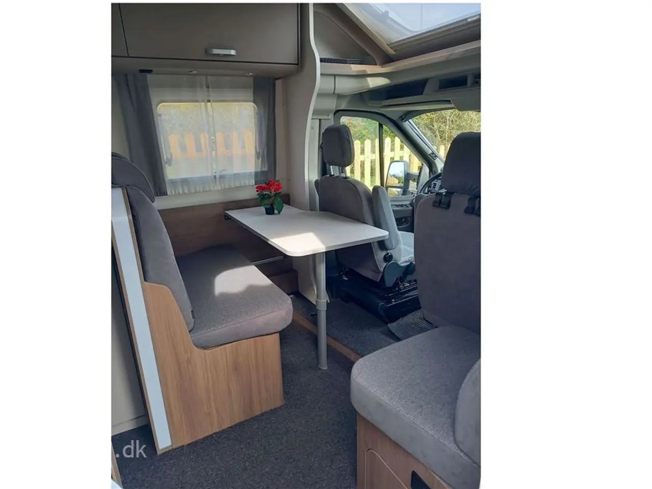 Billede 10 - 2024 - Carado T 449 Edition 24
