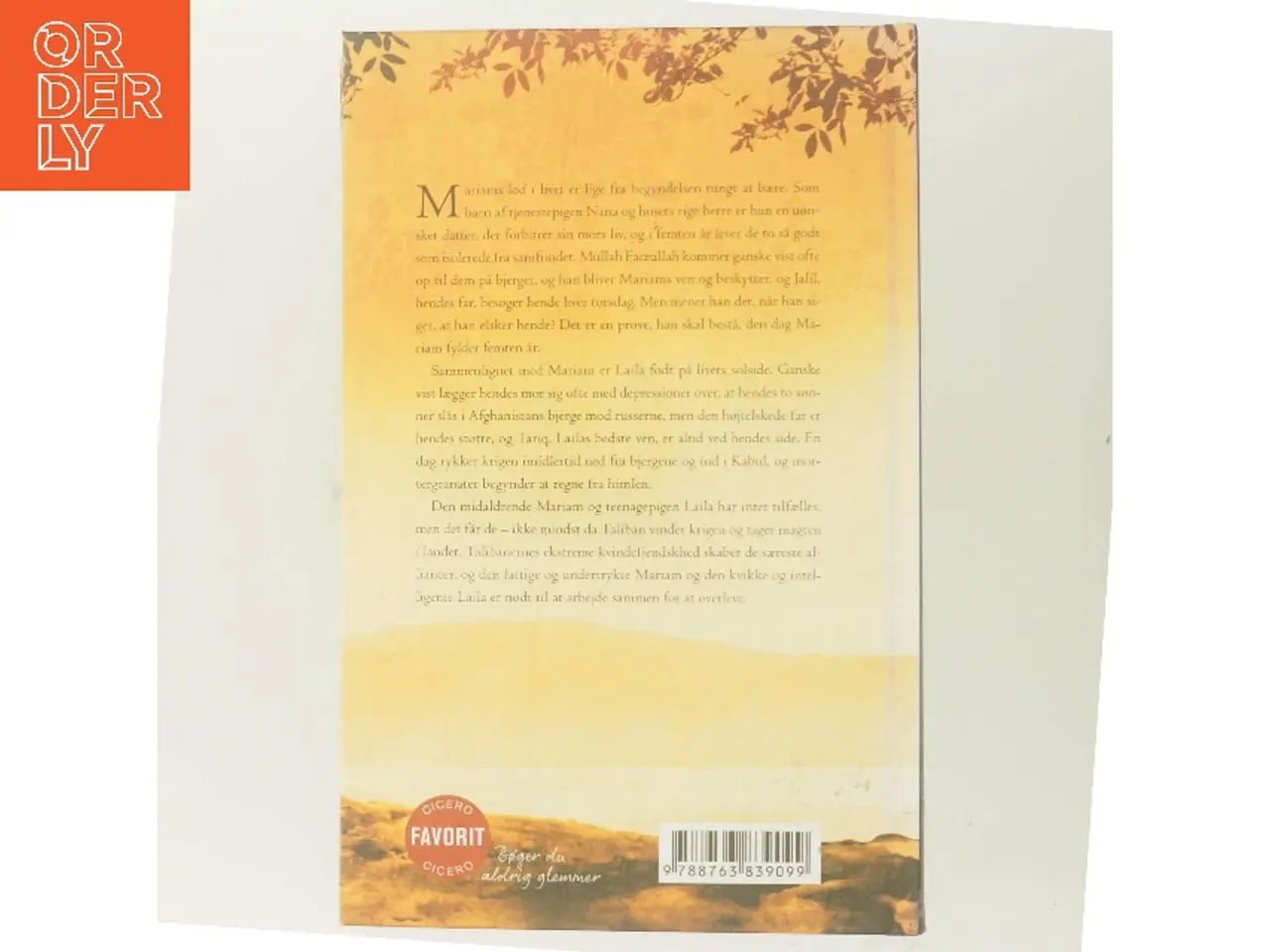 Billede 3 - Under en strålende sol af Khaled Hosseini (Bog)