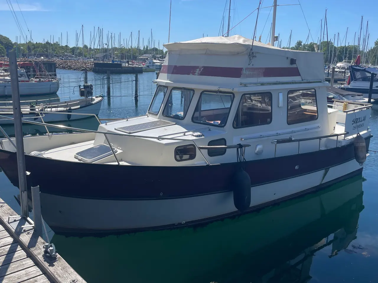 Billede 1 - Husky Dane 85