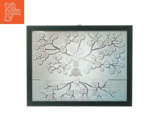 Stamtræsbillede, Øl (str. 38 x 30 cm) Rigtigt indrammet med glas og flot sort træramme.