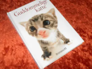 Guddommelige katte, Stuart og Linda Macfarlane,
