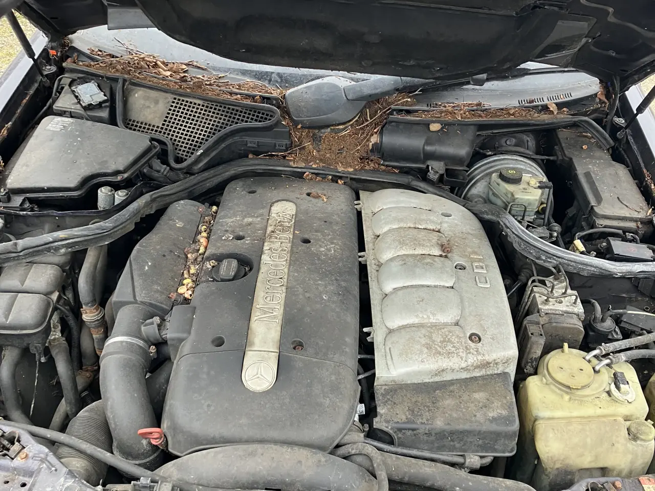Billede 6 - Mercedes W210 dele eller hele biler