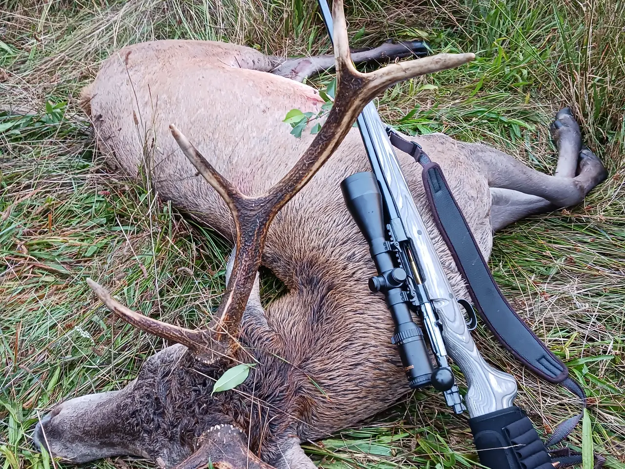 Billede 2 - K98 renoveret bytte kikkert. 