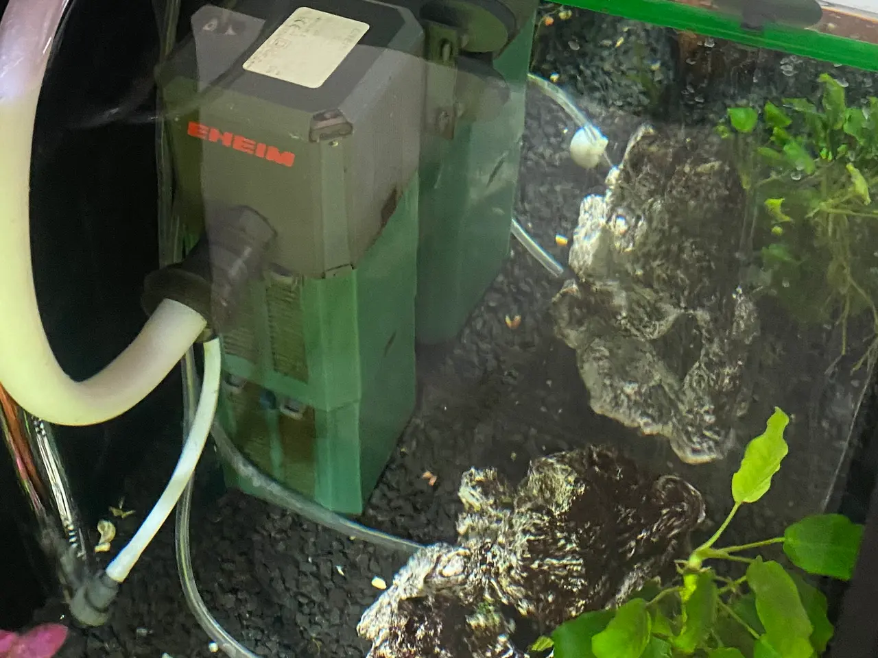 Billede 4 - Specielt bygget 280L akvarie