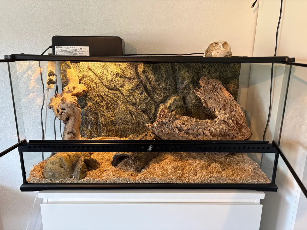 Billede 6 - Kongepython med terrarium 