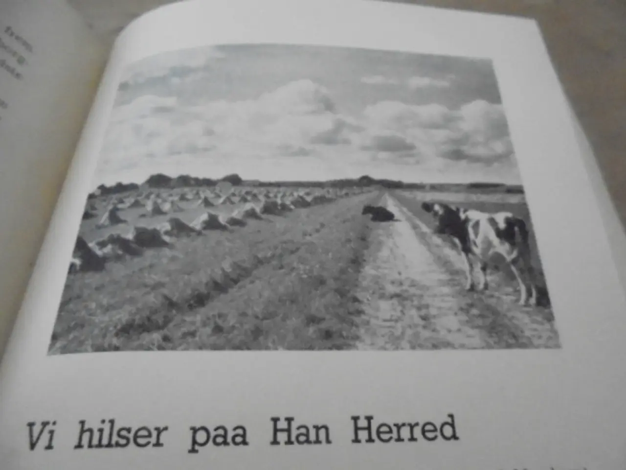 Billede 5 - Hvor dejene samles – se fotos og omtale