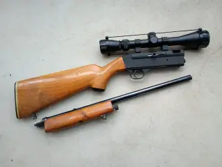 Gewarm .22 LR