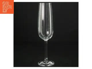 Champagneglas (str. 21 cm)