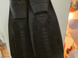 Dykker og uv jagt