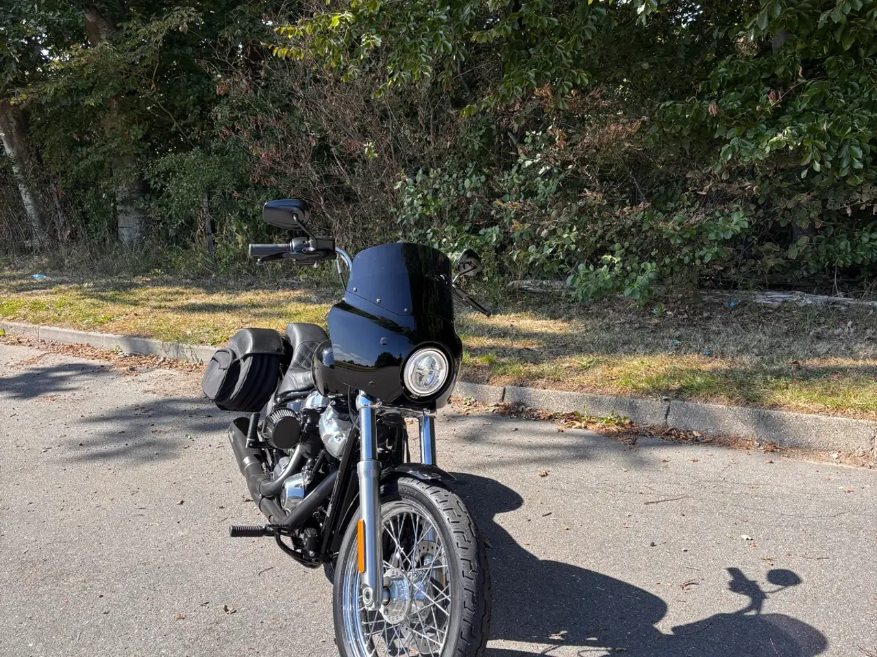 Billede 3 - Harley Davidson FXST 2021 M8