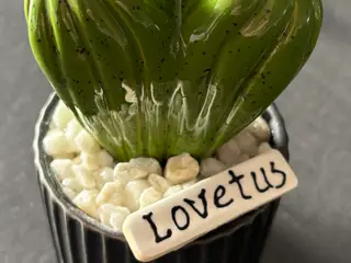 Lovetusser i keramik