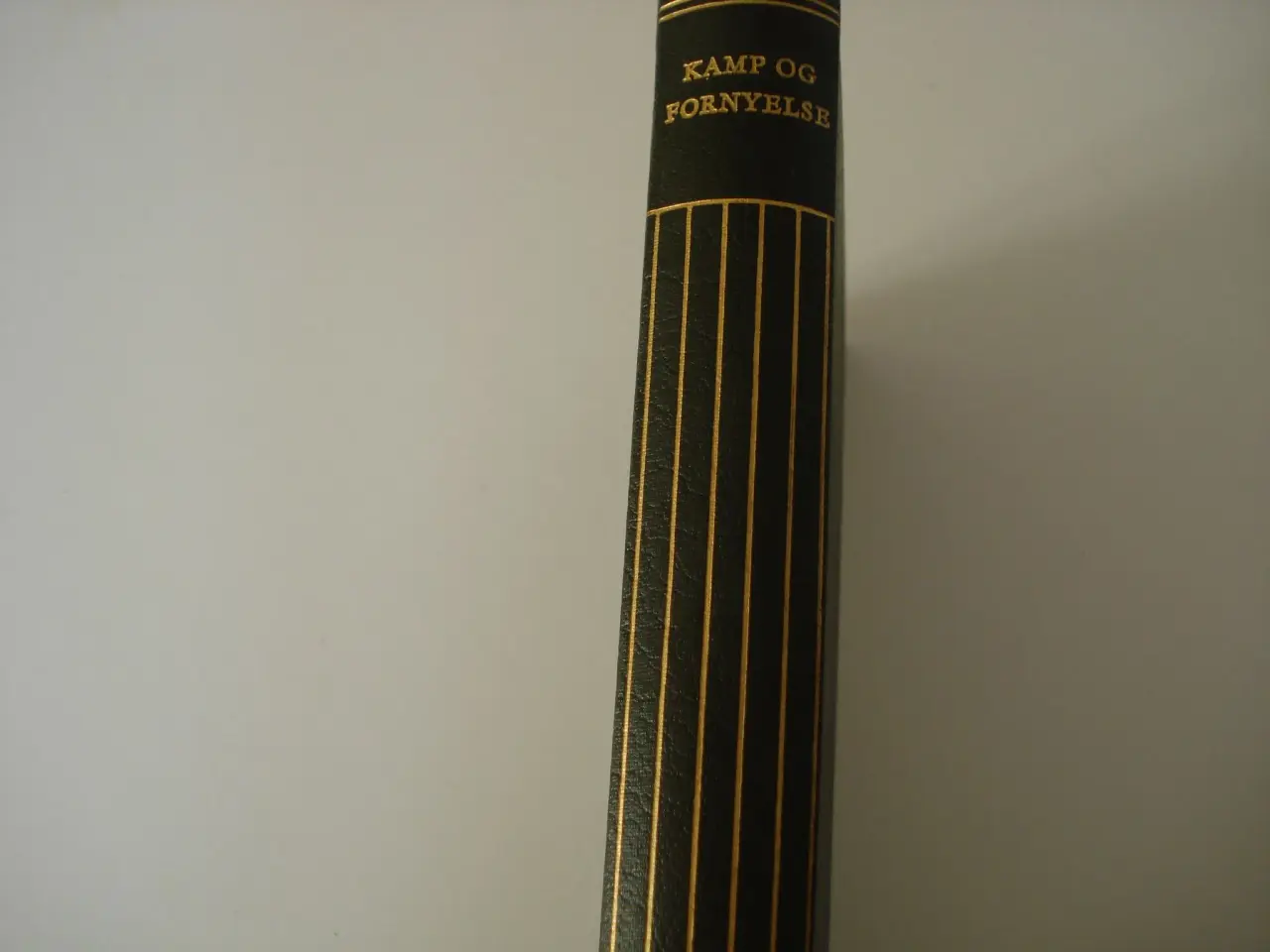 Billede 1 - Kamp og fornyelse