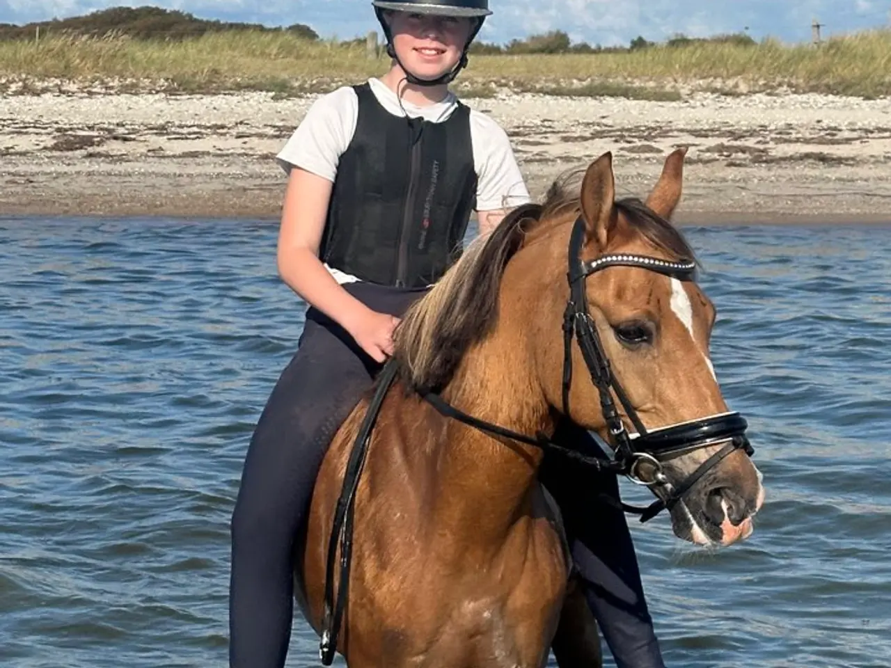 Billede 1 - 2'er pony