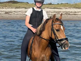 2'er pony