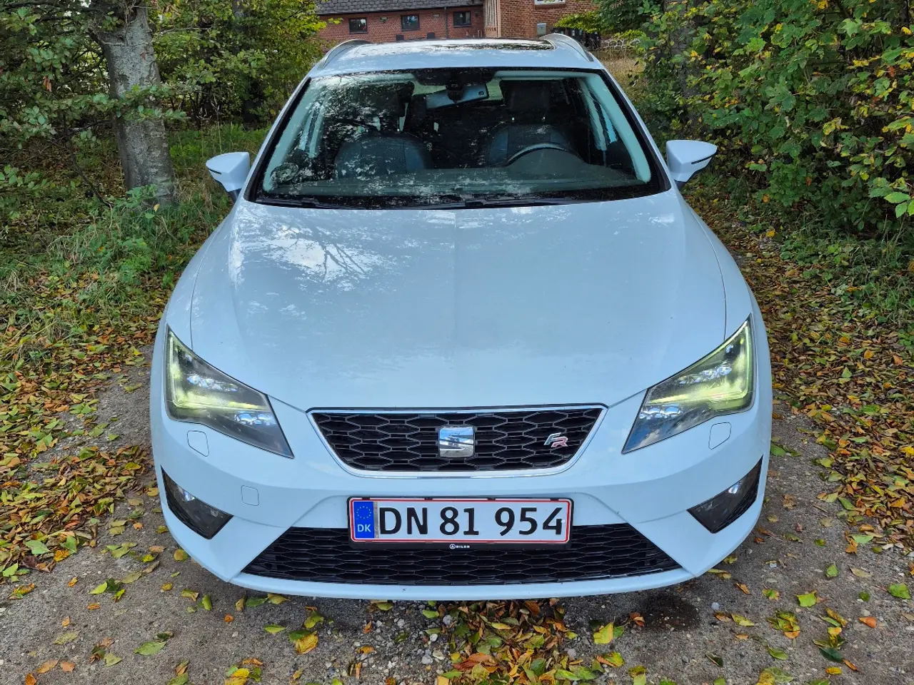 Billede 1 - Seat Leon Fr
