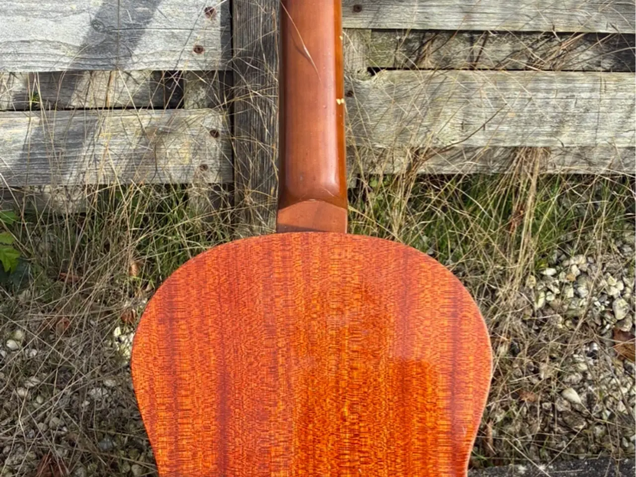 Billede 2 - Admira, Paloma guitar