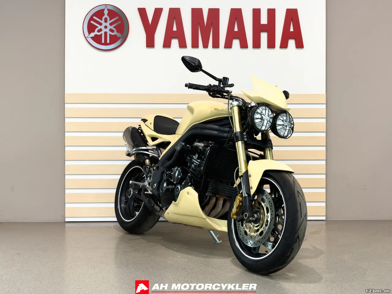 Billede 9 - Triumph Speed Triple