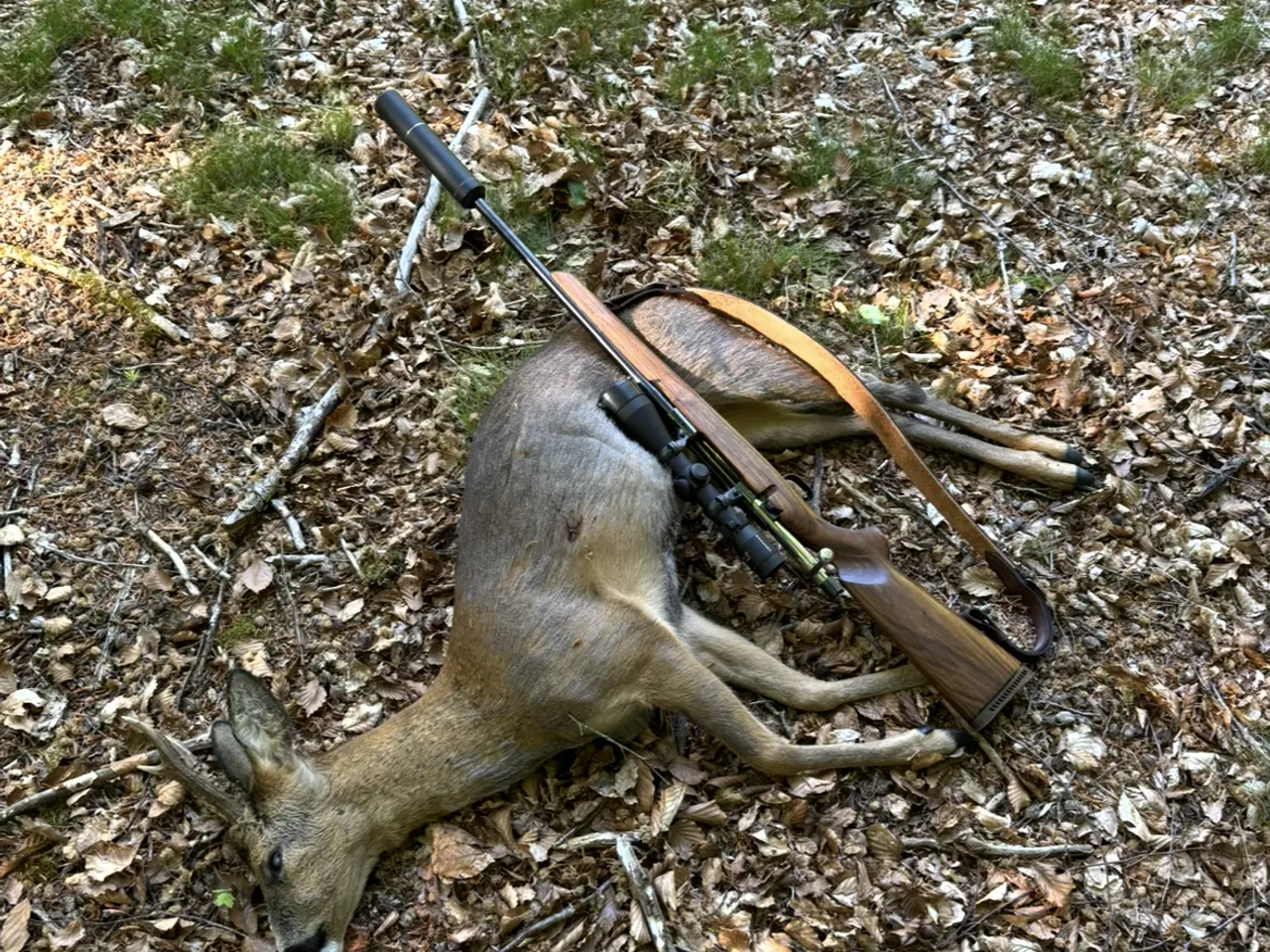 Billede 9 - Schultz & Larsen Hunter 6.5x55
