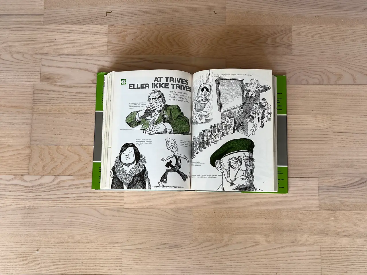 Billede 3 - Ekko - hvornår, hvordan, hvorfor skete det ?