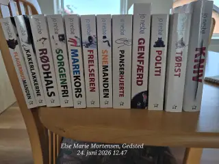 Jo Nesbø, Harry Hole-serien