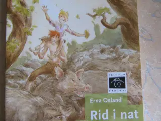 Rid i nat" af Erna Osland