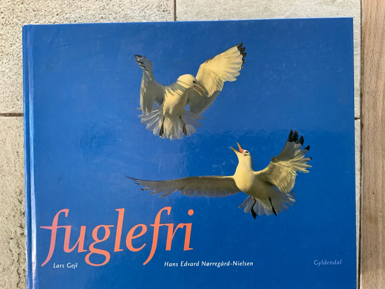 Billede 1 - Fuglefri af Lars Gejl og Hans Edvard Nørregård