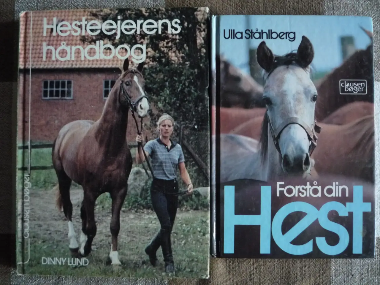 Billede 1 - Hesteejerens håndbog og Forstå din hest m.m.