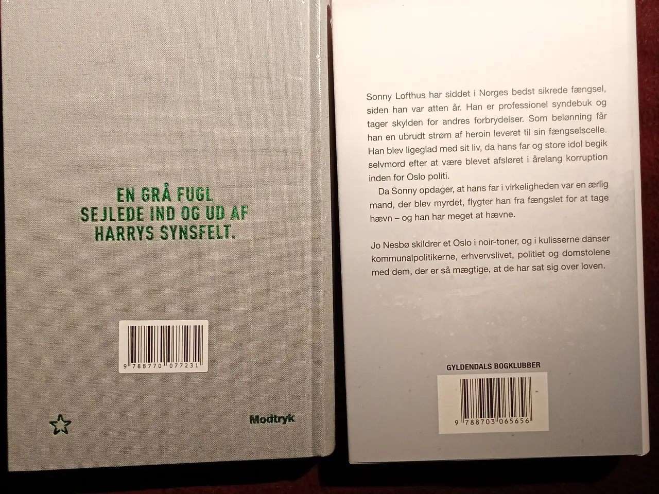 Billede 2 - 2 bøger med Jo Nesbø