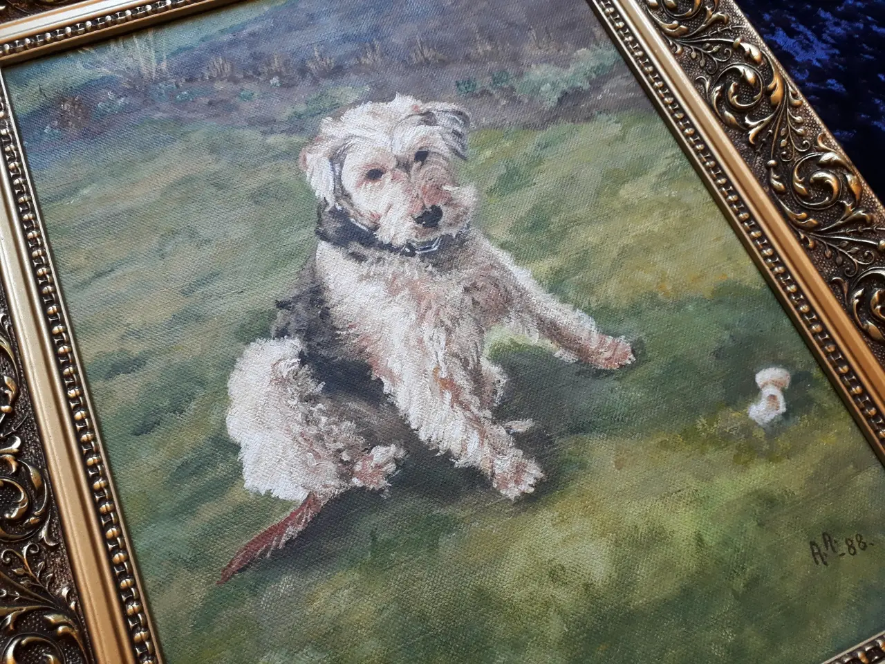 Billede 4 - Oliemaleri Ruhåret Foxterrier