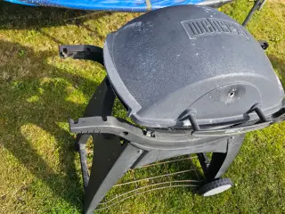 Weber Q300 grill