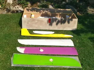RC fly