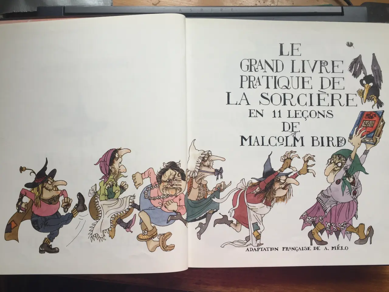 Billede 3 - HÅNDBOG for HEKSE (en français)