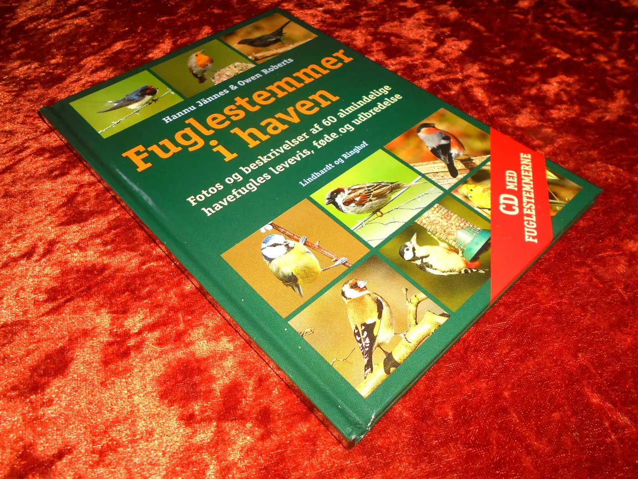 Billede 1 - Fuglestemmer i haven, Owen Roberts