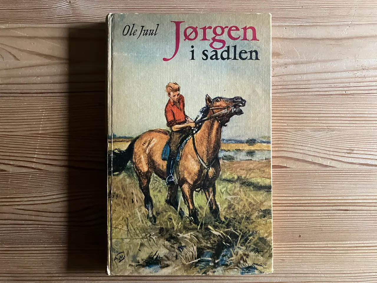 Billede 4 - 10 fine gamle børnebøger, ungdomsbøger