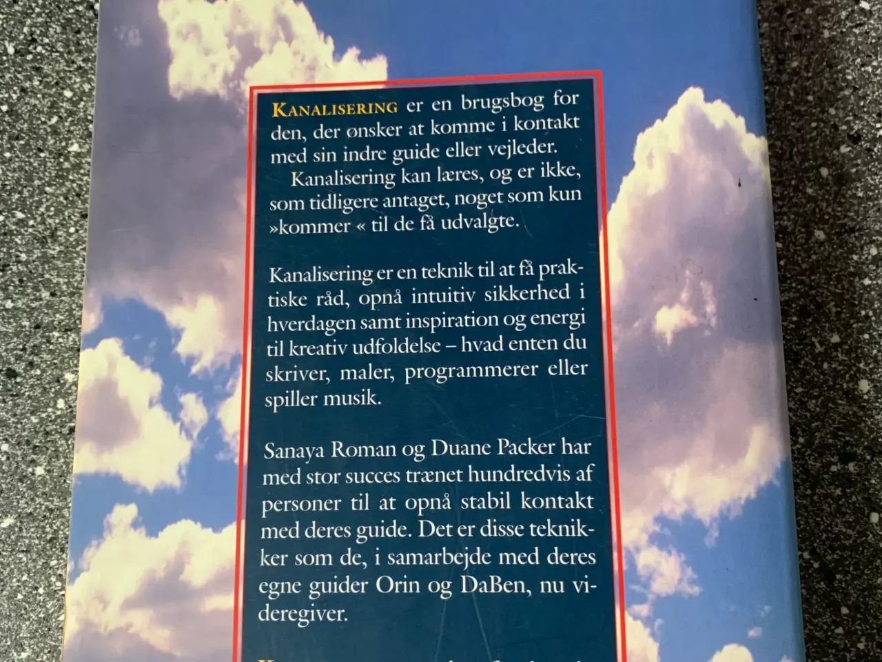 Billede 2 - Bog: Kanalisering