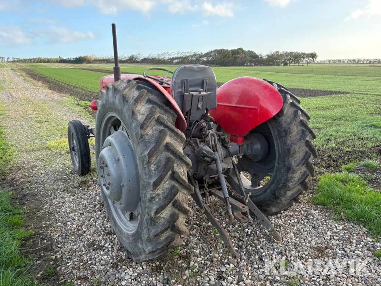 Billede 4 - Veterantraktor Massey Ferguson 65
