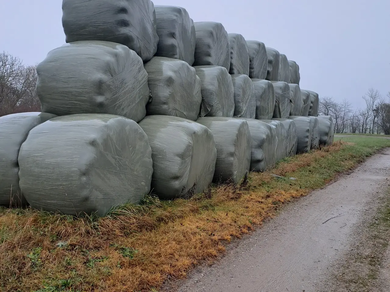 Billede 1 - Wrap i rundballer 140 cm dia Ca 400 kg hasselager