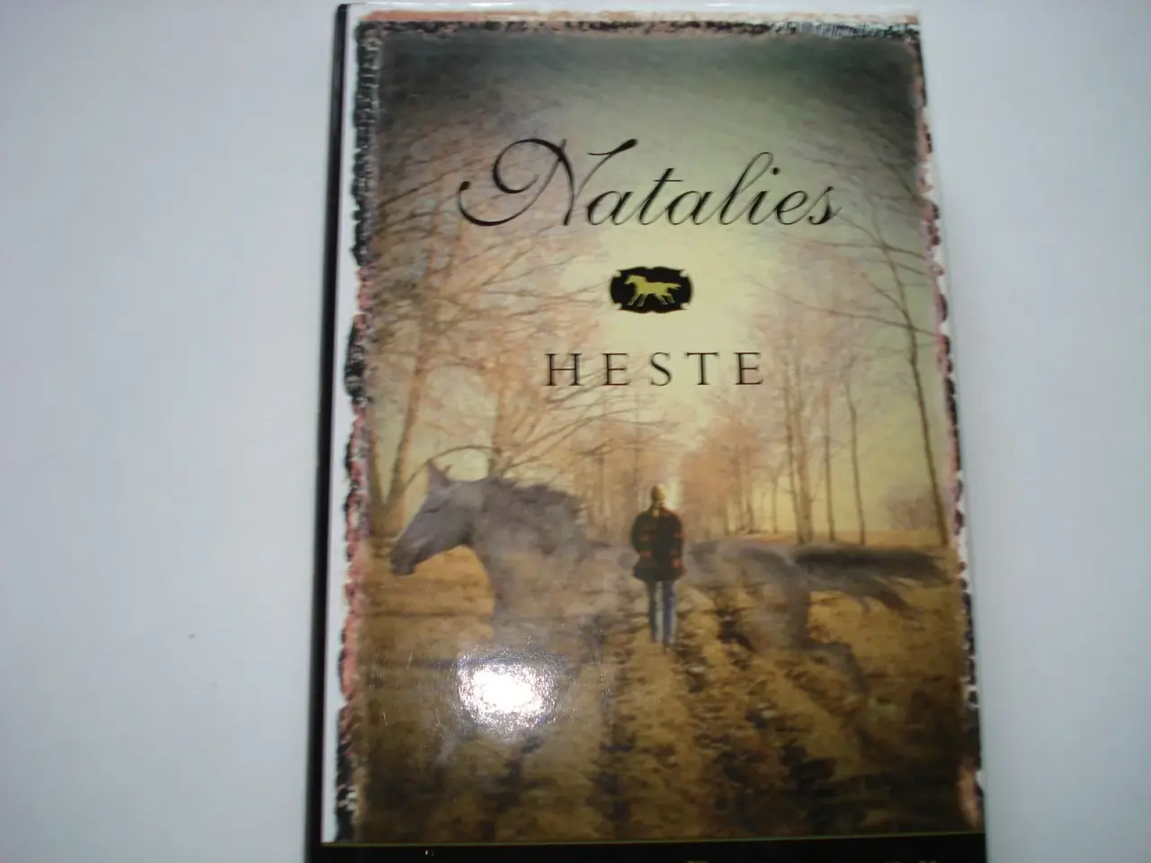 Billede 1 - Natalies Heste