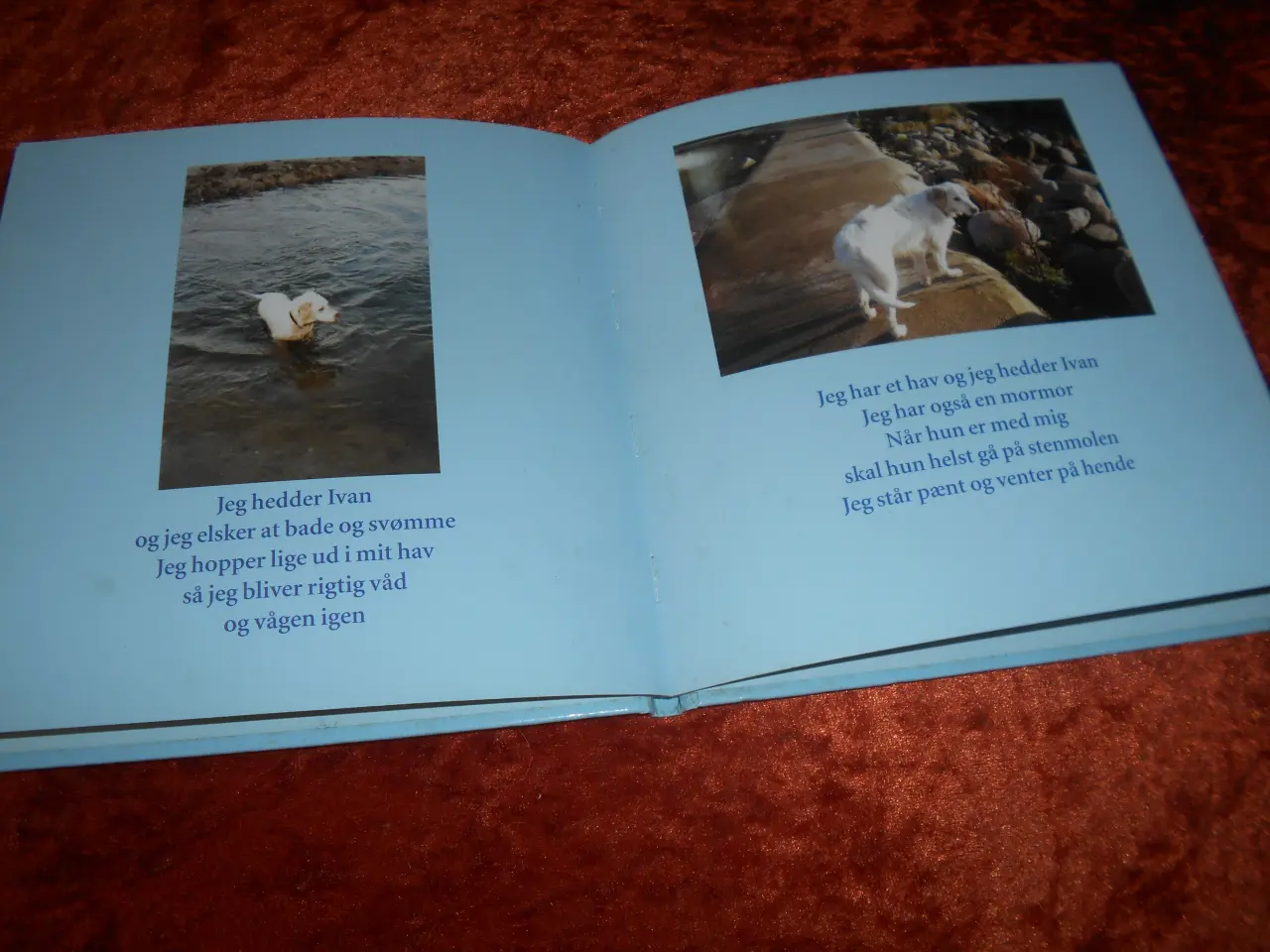 Billede 3 - Ivan, Anne Linnet, 